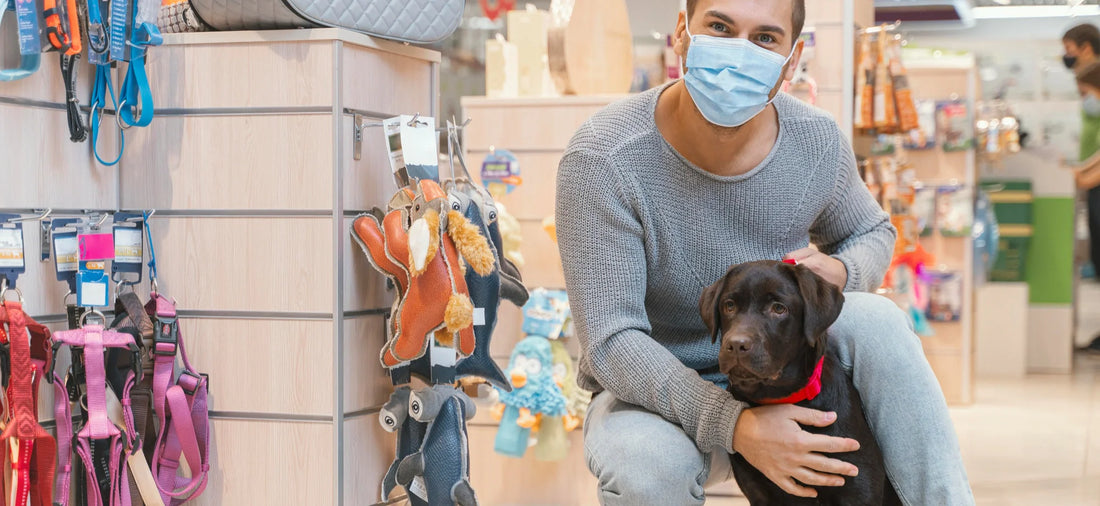 The Ultimate Guide to Choosing the Perfect Products for Your Pet’s Health and Happiness