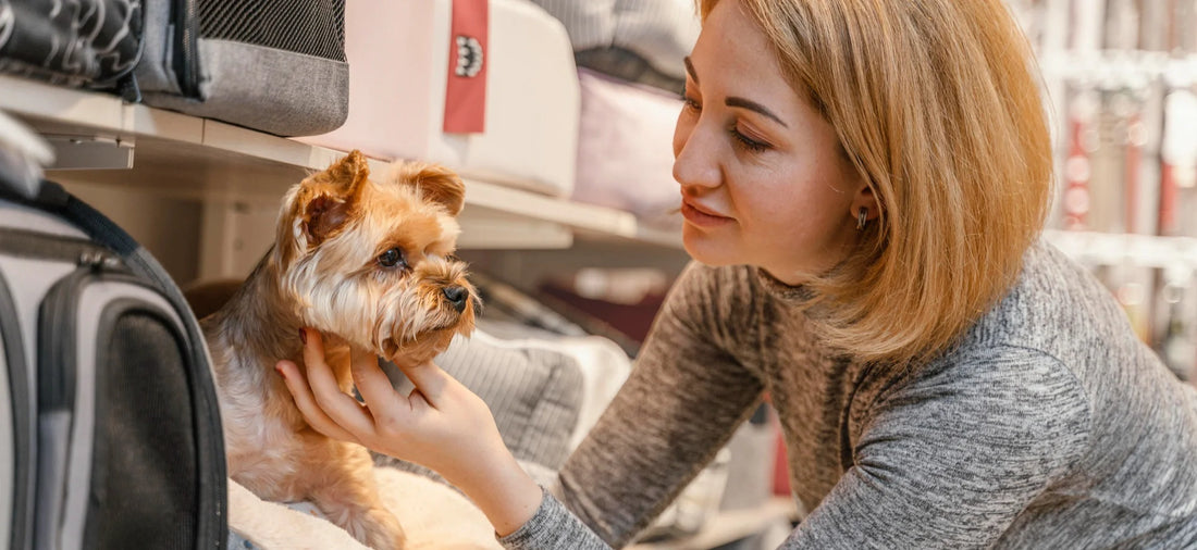 From Basics to Luxury: Must-Have Pet Essentials Every Owner Should Know