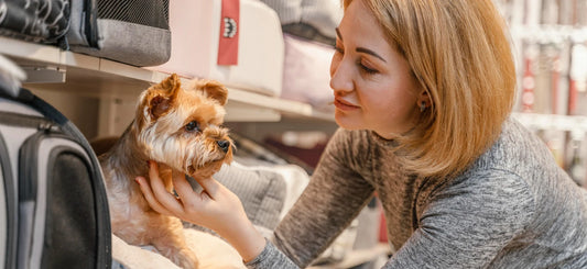 From Basics to Luxury: Must-Have Pet Essentials Every Owner Should Know