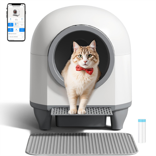 Self-Cleaning Litter Box