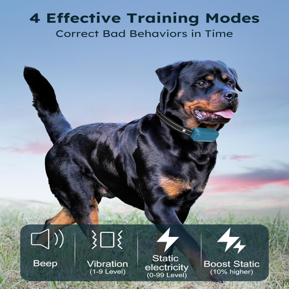 Dog Shock Collar 2 Dogs (10-120Lbs)