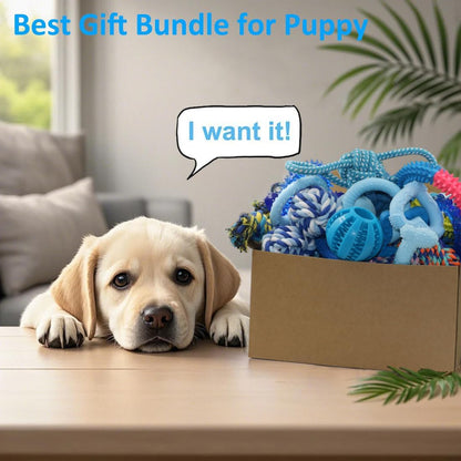 Beiker 20 Pack Puppy Chew Toys - Blue Dog Teething Toys for Puppies, Puppy Teething Rings and Ropes, Rubber Toy Bundle for Small Dogs, Cute Interactive Dog Balls for Small Breed