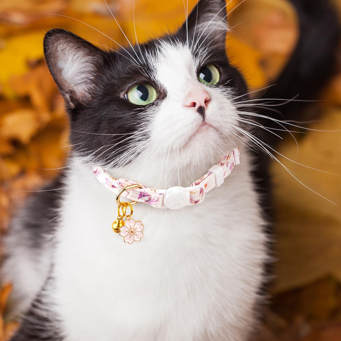 2 Pack Cotton Breakaway Cat Collar Pink Strawberries and White Heart Shaped Pendant Cute Kitten Cat Collar with Bell