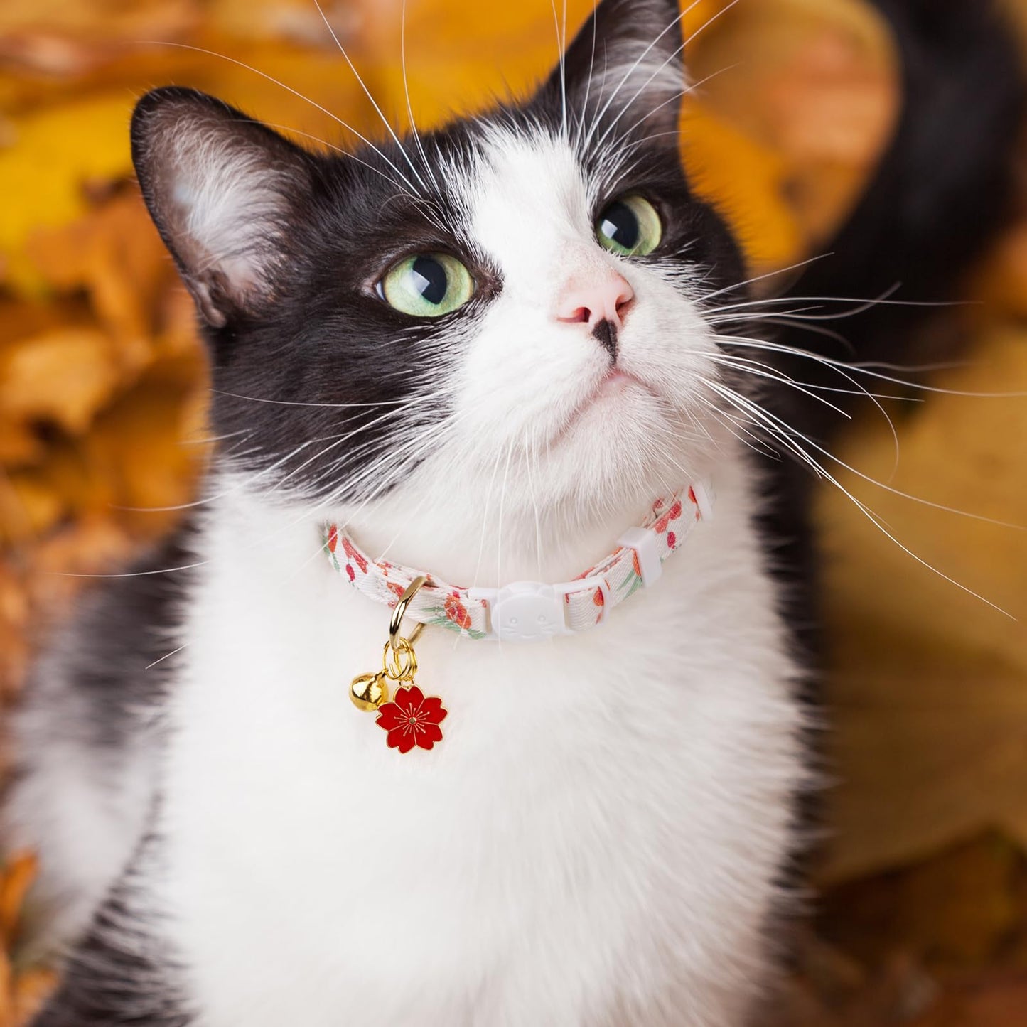 2 Pack Cotton Breakaway Cat Collar Pink Strawberries and White Heart Shaped Pendant Cute Kitten Cat Collar with Bell