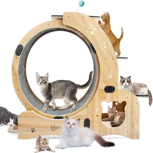 Cat Running Wheel,Cat Treadmill for Indoor Cats,Exercise Wheel Wood Climbing Frame,55''Oversized Roller Indoor Activity Center,Large (6-In-1)