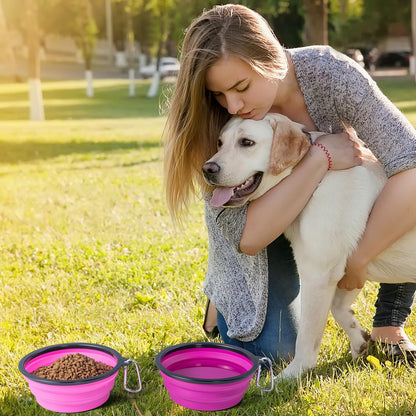 SLSON Collapsible Bowl with Cover Lids,2 Pack Dog Travel Bowls Portable Foldable Cat Water Dish Bowl for Pets Walking Parking Camping (Light Blue and Green, Small)