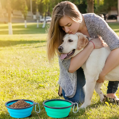 SLSON Collapsible Bowl with Cover Lids,2 Pack Dog Travel Bowls Portable Foldable Cat Water Dish Bowl for Pets Walking Parking Camping (Light Blue and Green, Small)