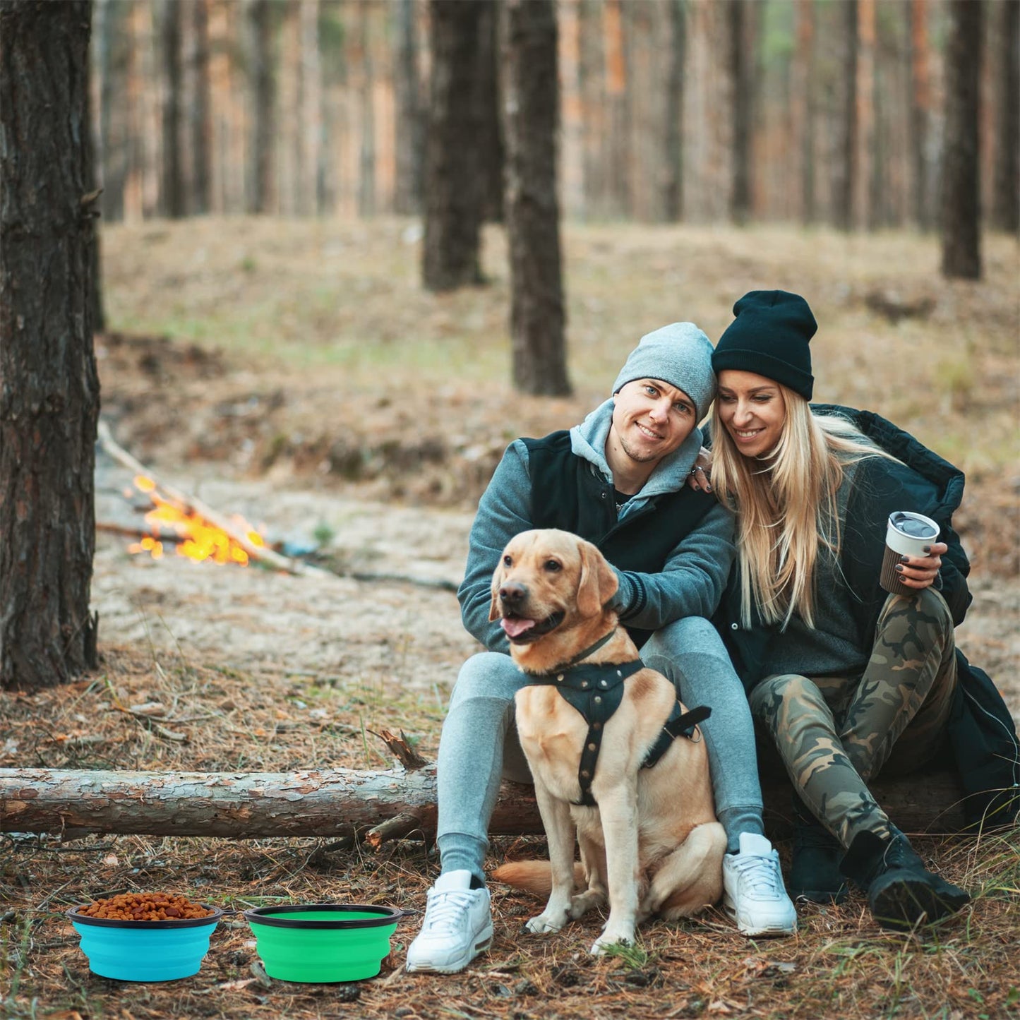 SLSON Collapsible Bowl with Cover Lids,2 Pack Dog Travel Bowls Portable Foldable Cat Water Dish Bowl for Pets Walking Parking Camping (Light Blue and Green, Small)
