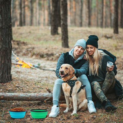 SLSON Collapsible Bowl with Cover Lids,2 Pack Dog Travel Bowls Portable Foldable Cat Water Dish Bowl for Pets Walking Parking Camping (Light Blue and Green, Small)
