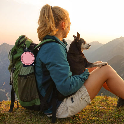 SLSON Collapsible Dog Dual Bowls Reinforced Rim 180 Degrees Flip Over Foldable Double Bowl with Lock Clips More Stable Dog Travel Bowls Pet Food Water Feeder (Light Pink)