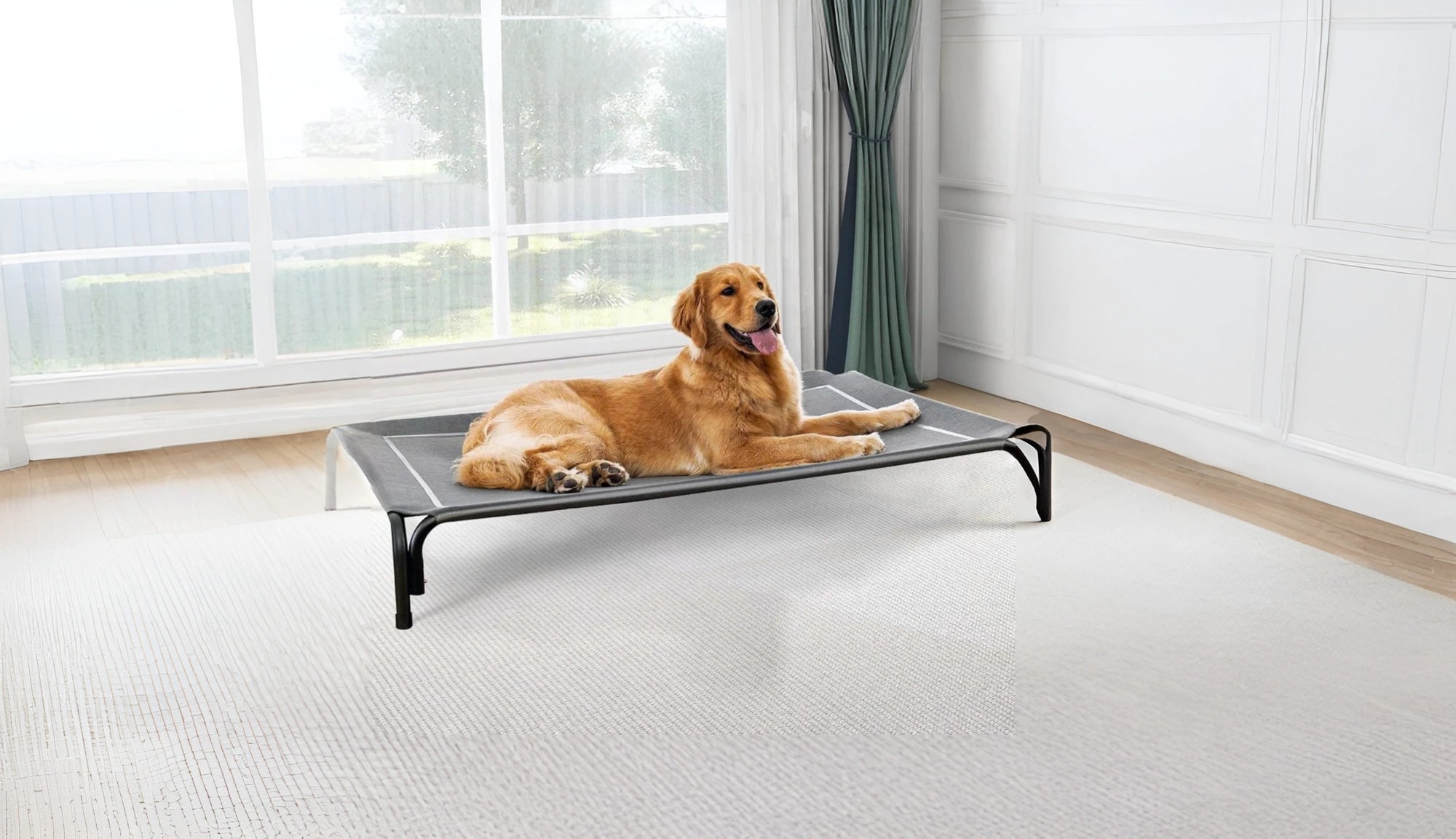 Easy & Confident Care for Your Pet